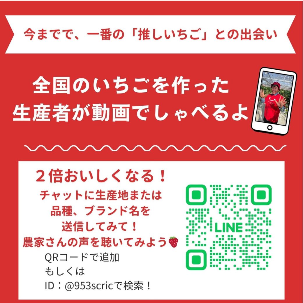 【期間限定】全国いちご食べ比べ 6個セット 2種×3個【送料込み】